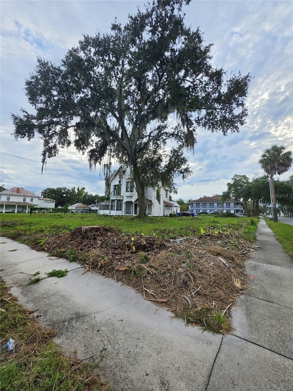 Photo 1 of 206 VERNON Avenue